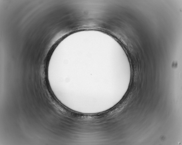 X0000098171458200805221504