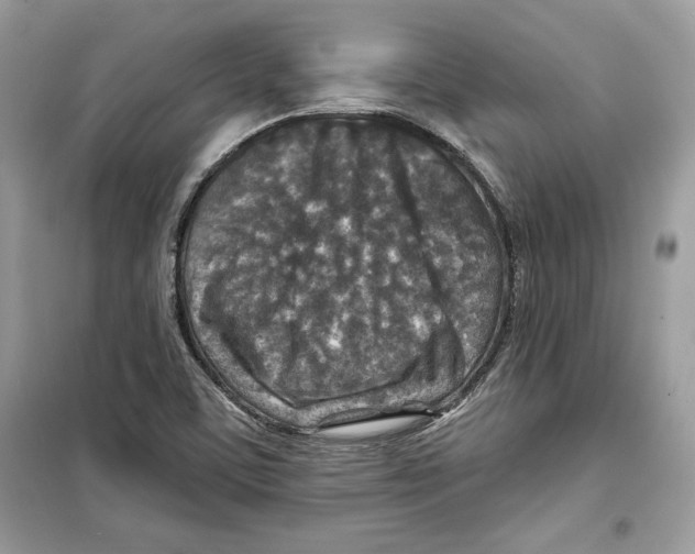 X0000098171459200805221504