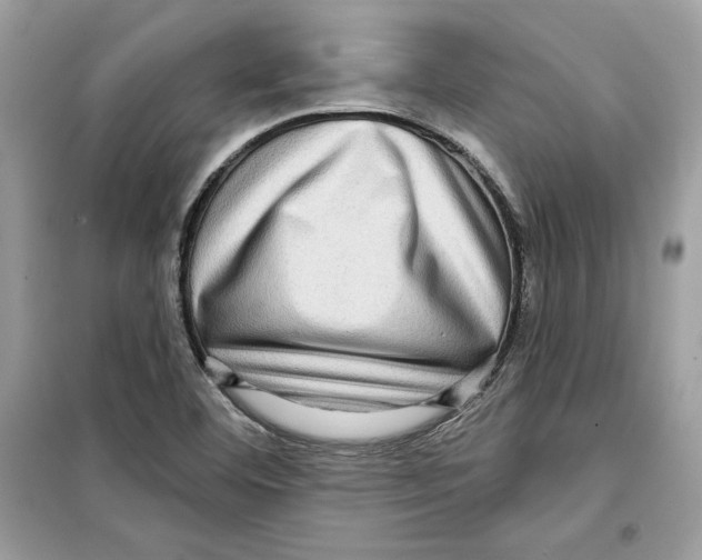 X0000098171460200805221504