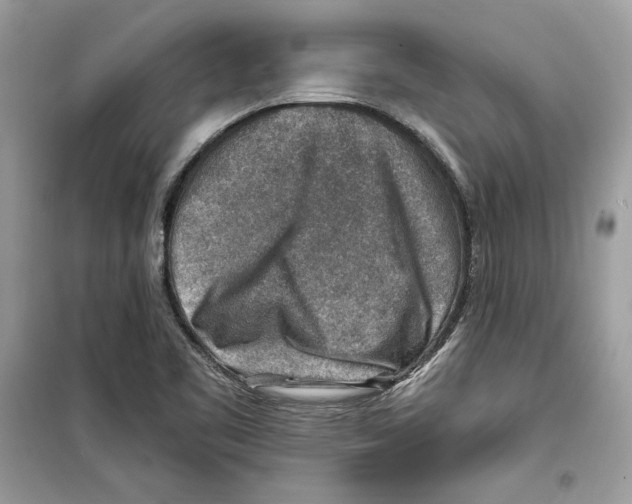 X0000098171461200805221504