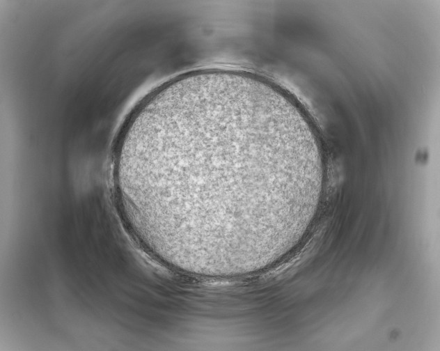 X0000098171462200805221504