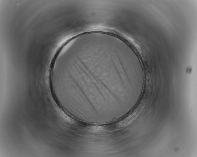 X0000098171463200805221504