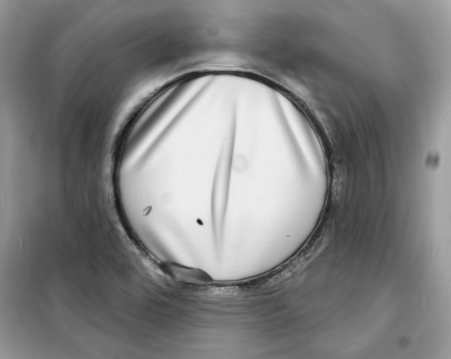 X0000098171464200805221504