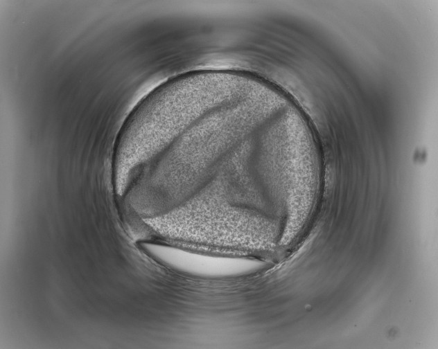 X0000098171465200805221504