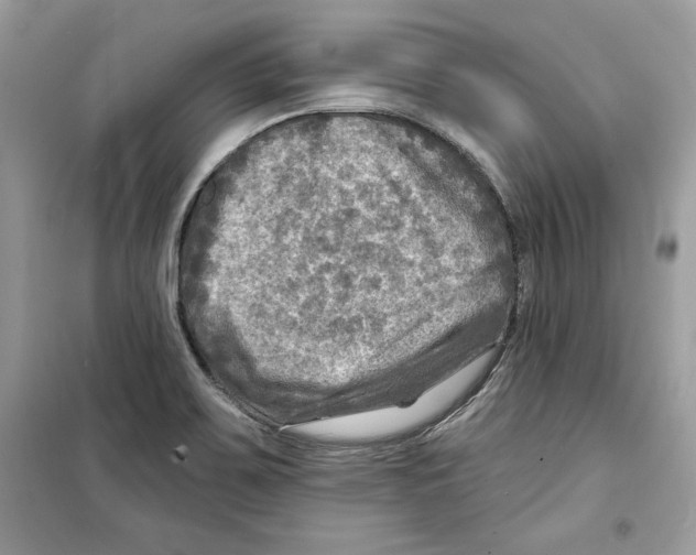 X0000098171467200805221504