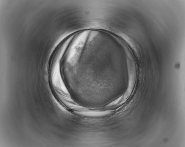 X0000098171468200805221504