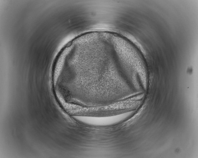 X0000098171469200805221504