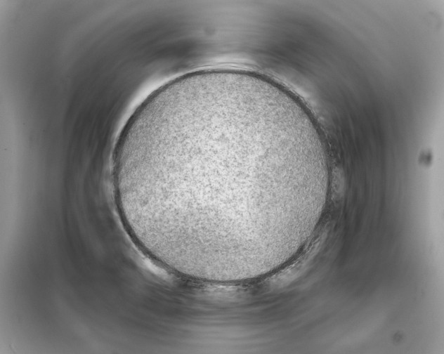 X0000098171470200805221504