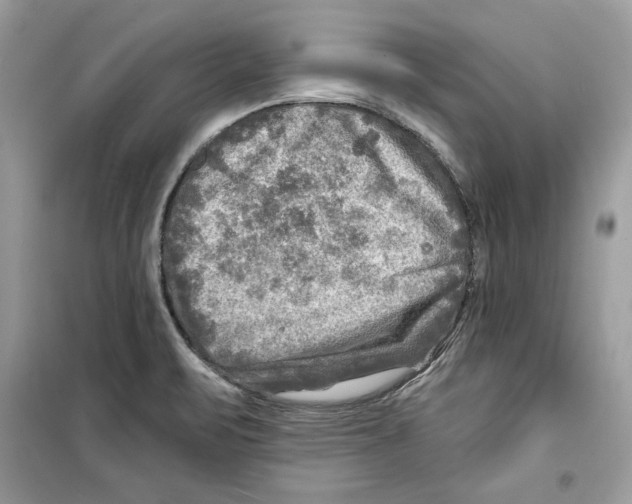 X0000098171471200805221504