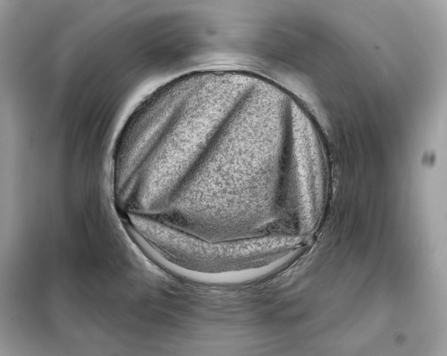 X0000098171472200805221504