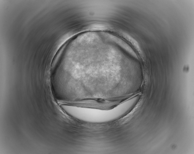 X0000098171473200805221504