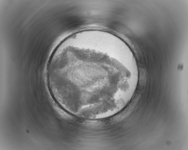 X0000098171474200805221504