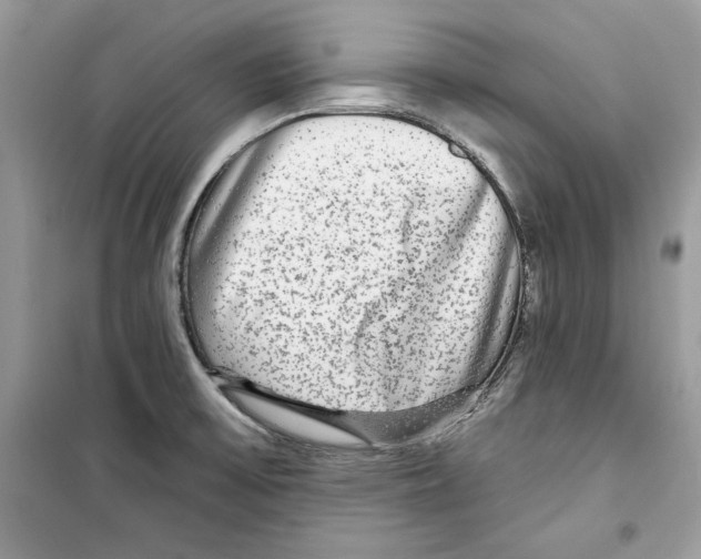 X0000098171475200805221504