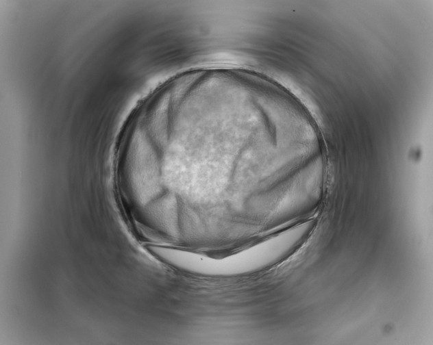 X0000098171477200805221504