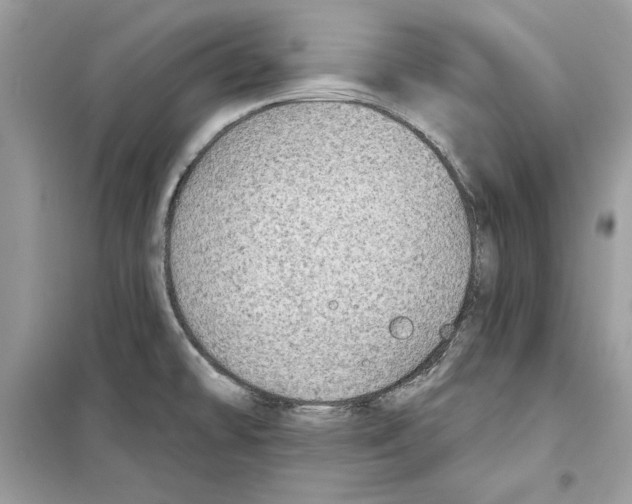 X0000098171478200805221504