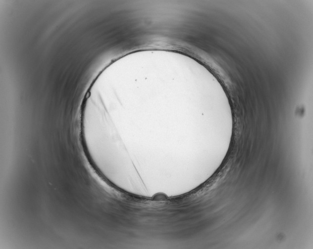 X0000098171479200805221504