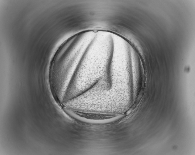 X0000098171480200805221504