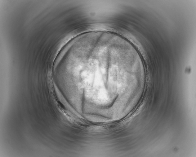 X0000098171481200805221504