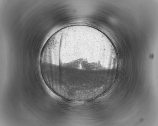 X0000098171482200805221504