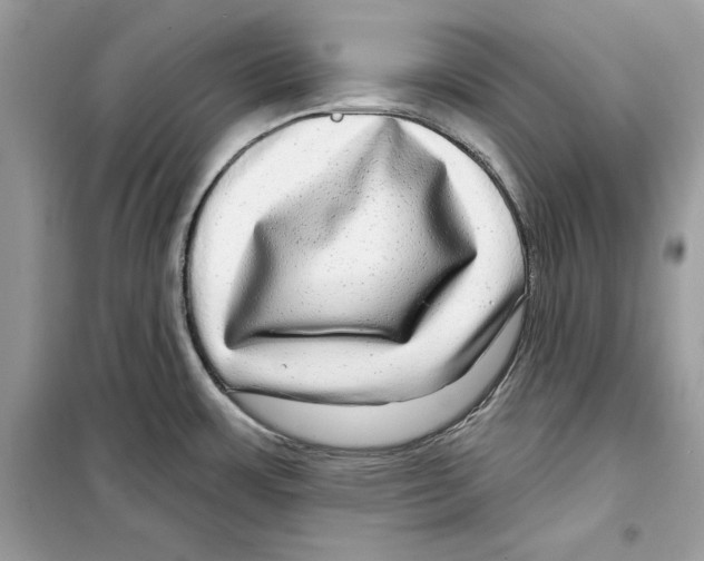 X0000098171483200805221504