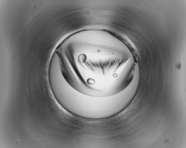 X0000098171484200805221504