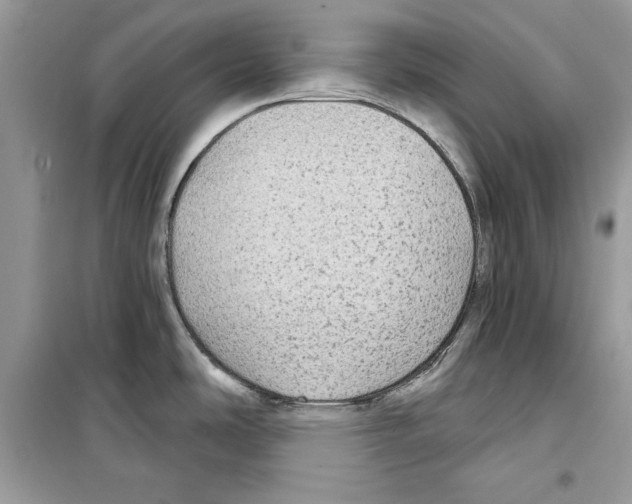 X0000098171486200805221504