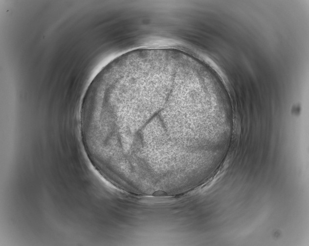 X0000098171487200805221504