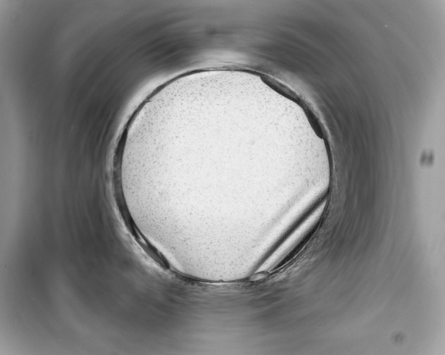 X0000098171488200805221504