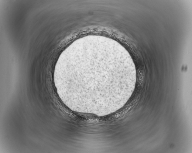 X0000098171489200805221503