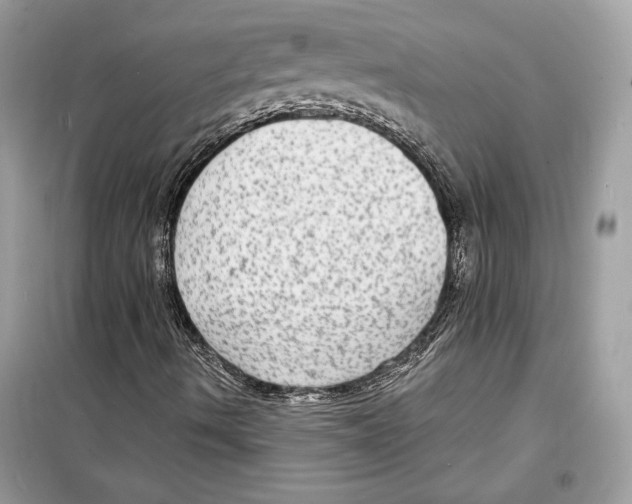 X0000098171490200805221503