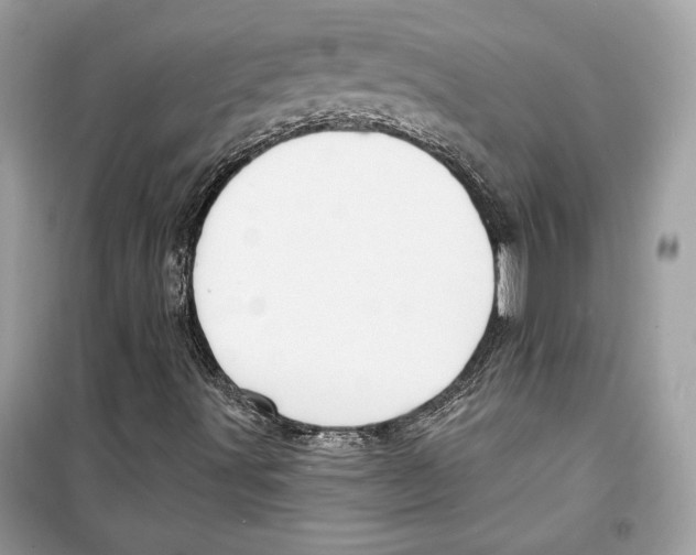 X0000098171491200805221503