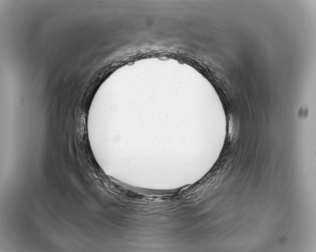 X0000098171492200805221503