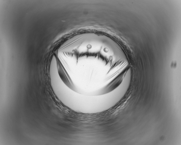 X0000098171494200805221503