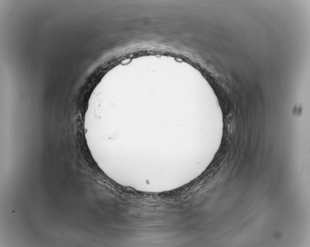 X0000098171495200805221503