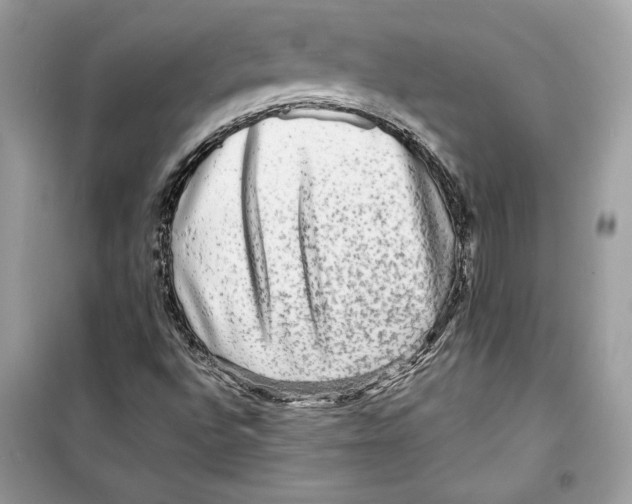 X0000098171496200805221503