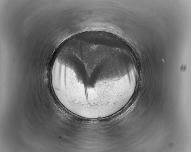 X0000098171497200805221503