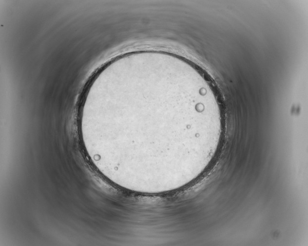 X0000098171498200805221503