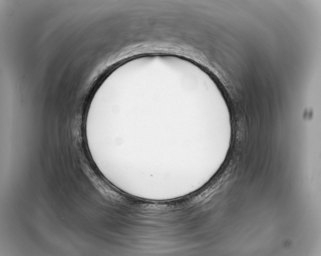 X0000098171499200805221503