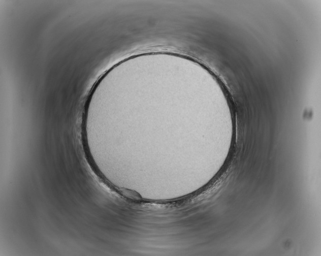 X0000098171500200805221503