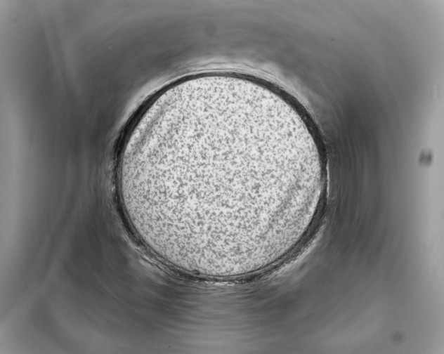 X0000098171501200805221503