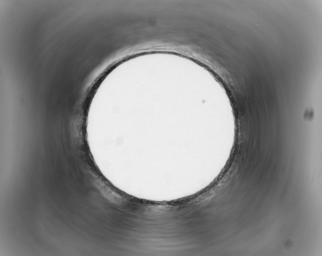 X0000098171502200805221503