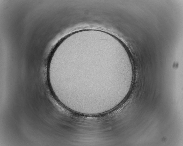 X0000098171503200805221503