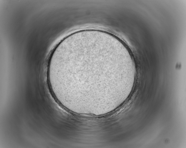 X0000098171504200805221503