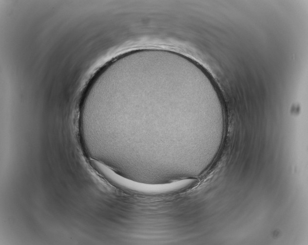 X0000098171507200805221504