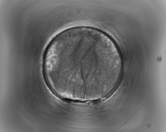 X0000098171508200805221504