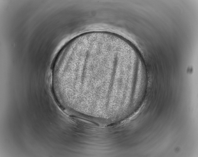 X0000098171509200805221504