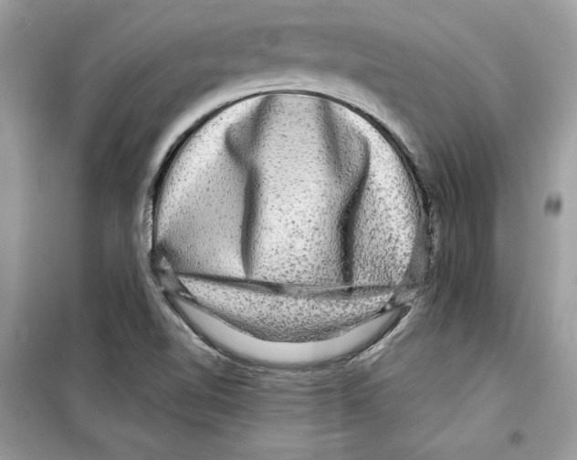 X0000098171510200805221504