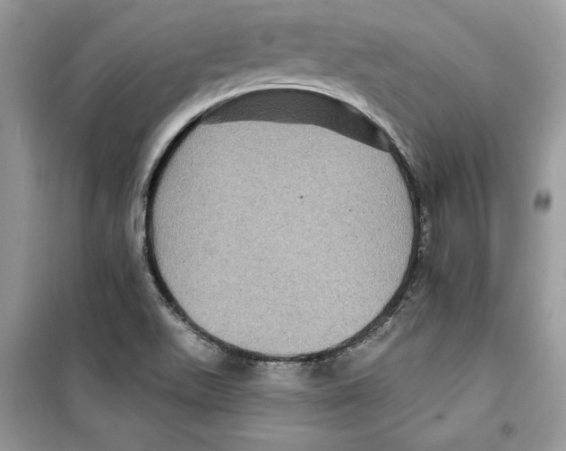 X0000098171511200805221504