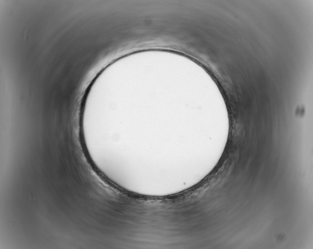 X0000098171512200805221504