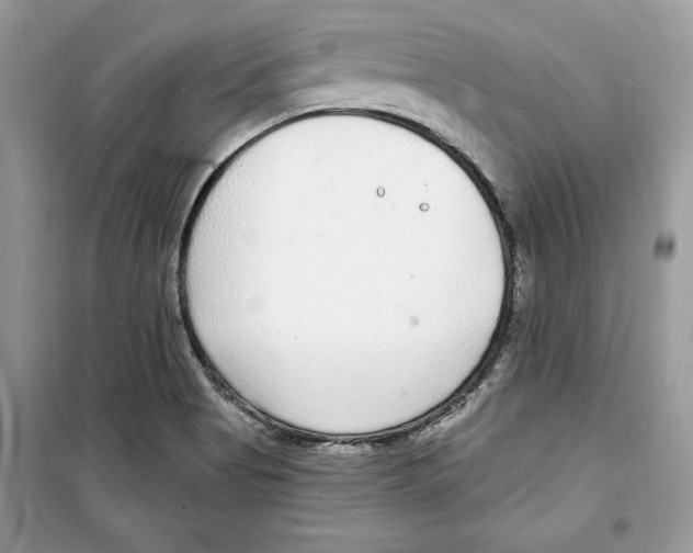 X0000098171513200805221504